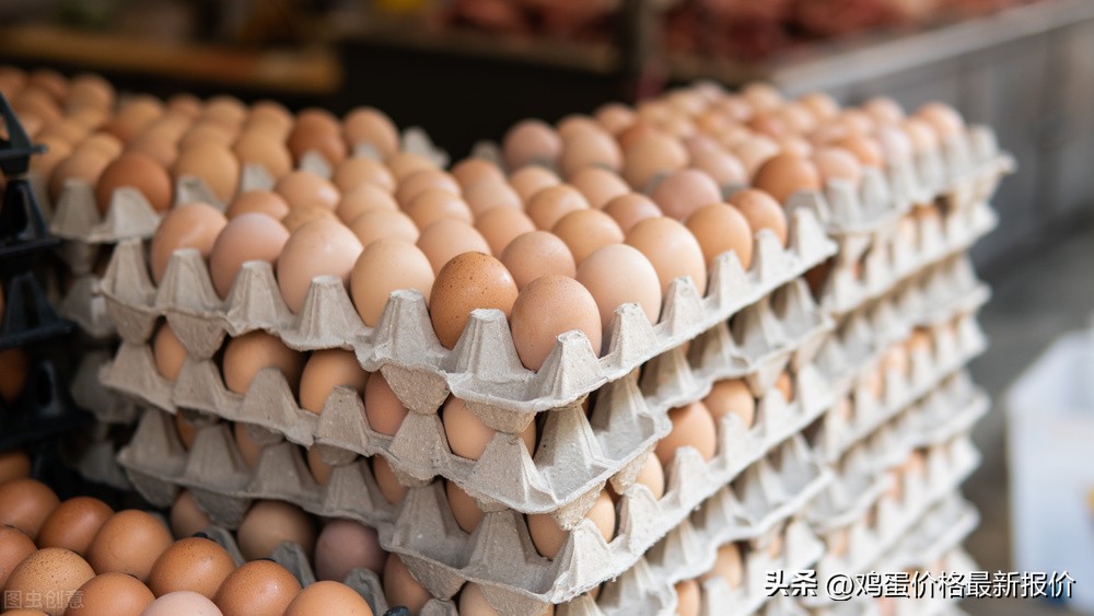 今日市场鸡蛋价格定陶「今日市场猪肉价格」