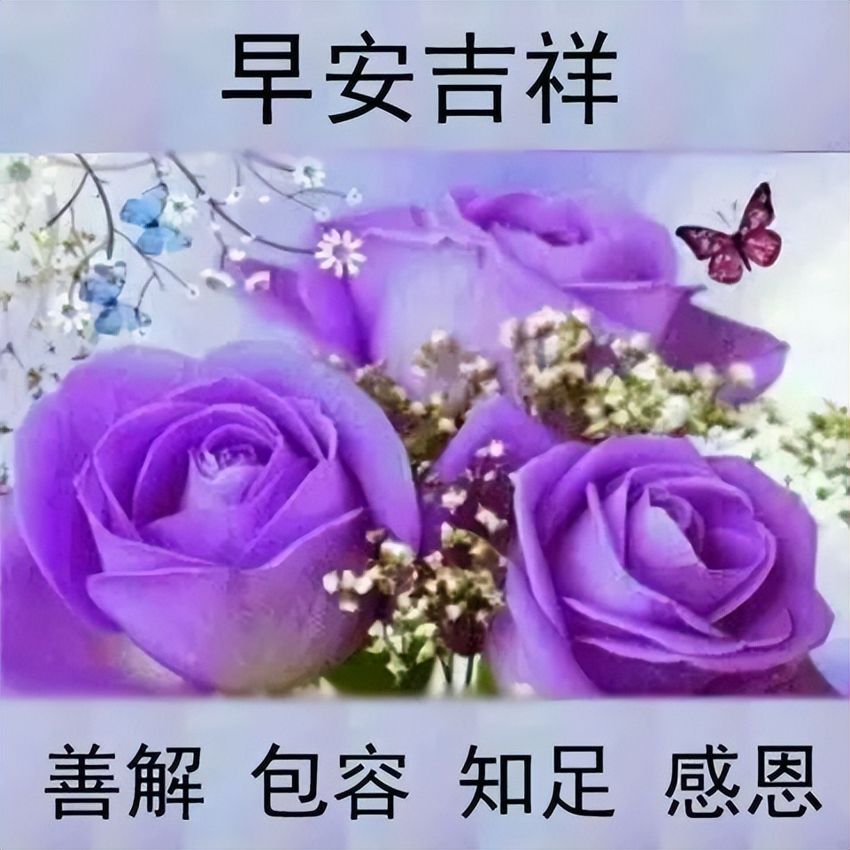 春季鲜花早上好图片，问候早上好的简短句子，祝福大家心情快乐