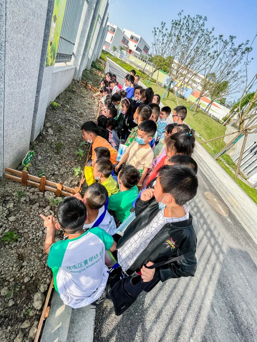 「责任教育 劳动课程」成都市双流区黄甲小学开发特色劳动种植课程