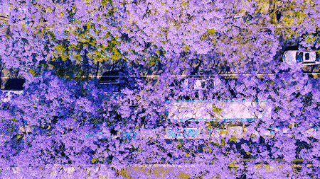 ʲôطľ㣨ɽʲôطľ㣩-Ѷ
