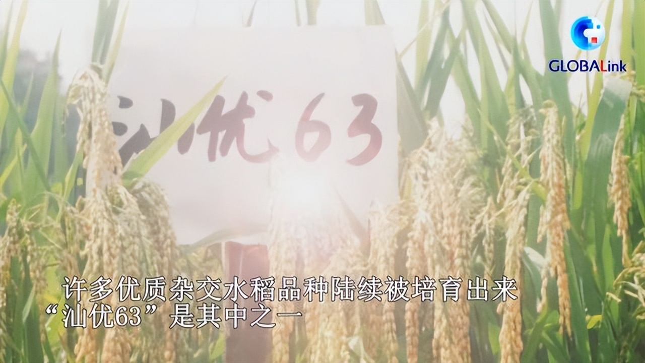 水稻院士除了袁隆平，还有好多