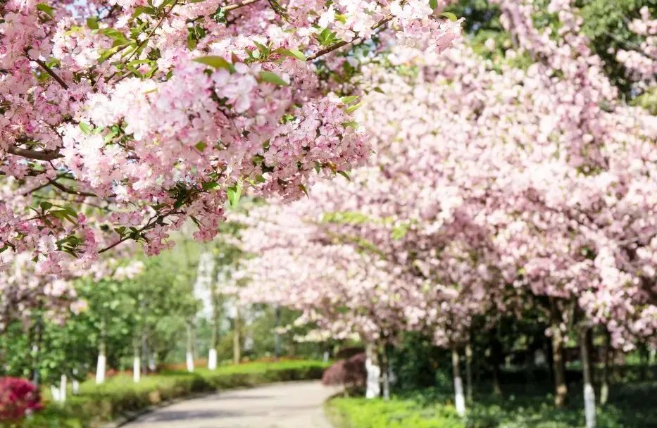 部分有编制，这两所高校正在招聘