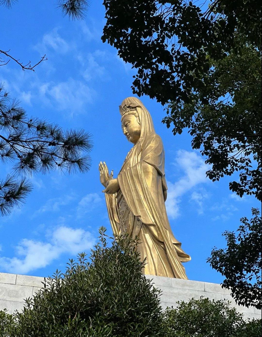 普陀山旅游攻略普陀山一日游最佳攻略