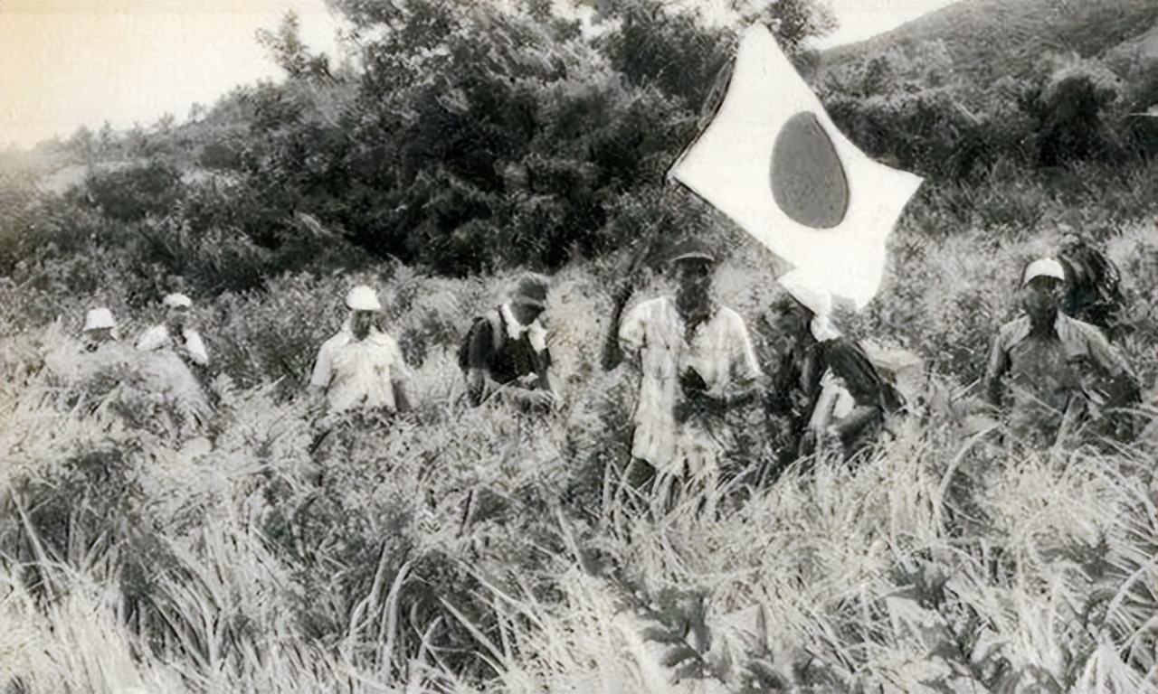 ���һ��Ͷ�����ձ��������˽�30����λ�ս��ֱ��1974���Ͷ��