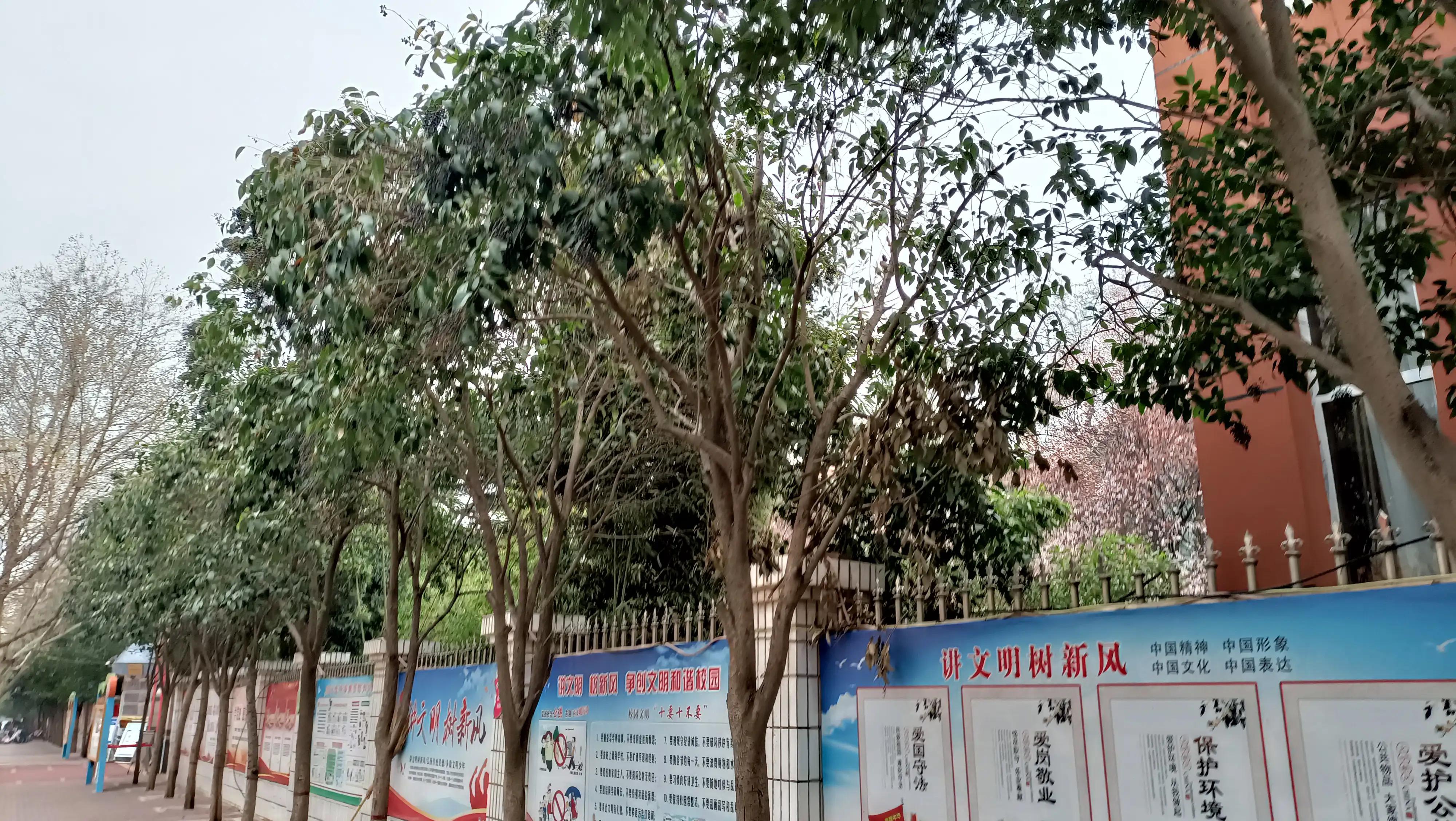 采他山课改之石，琢自身发展之玉——在外语学校跟岗培训学习活动