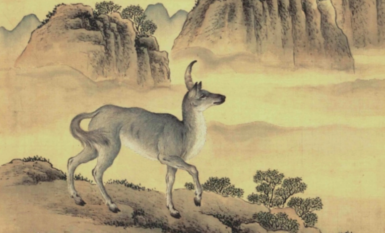 兕怎么读？兕的读音和意思