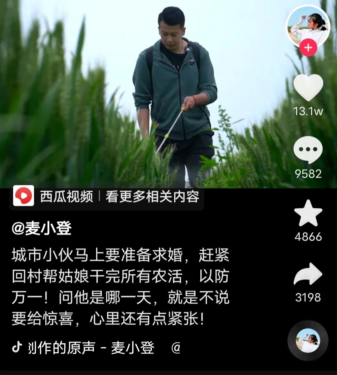 世豪成功求婚麦小登麦小登对象世豪