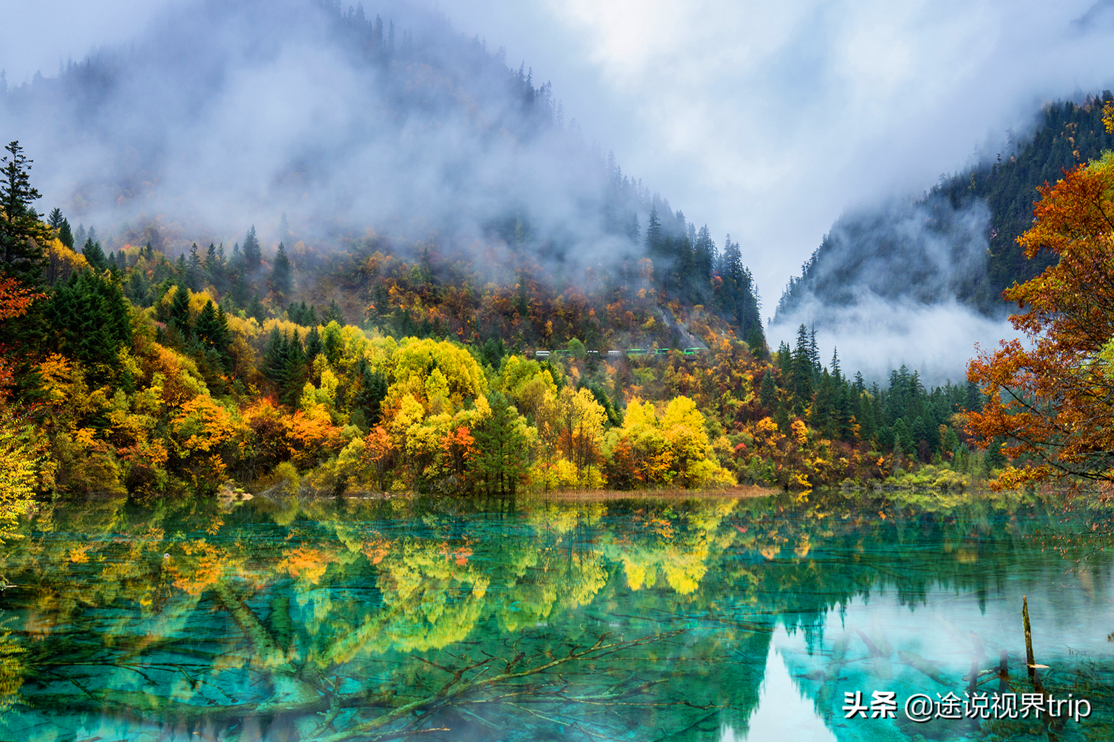 世间最美的九寨沟,无比震撼的人间仙境,来了就不想离开的地方