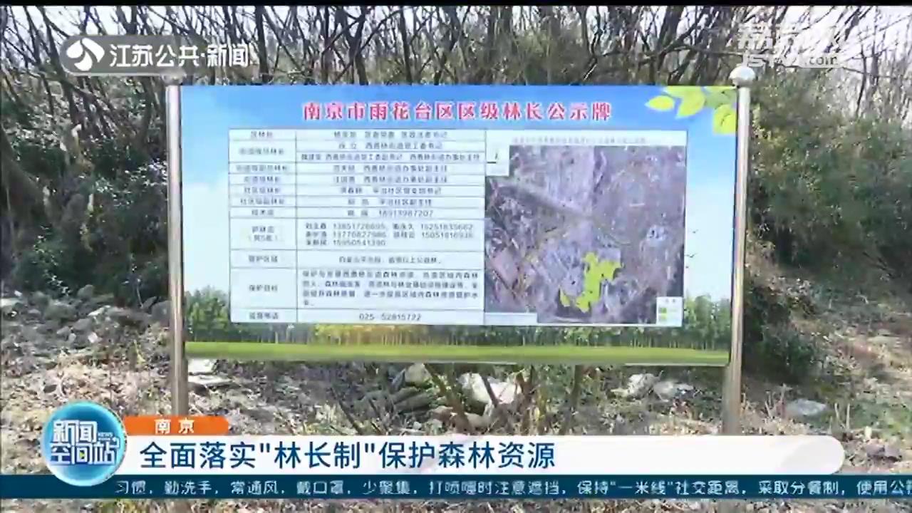 保护森林资源 责任落实到人 南京初步建立四级林长制体系