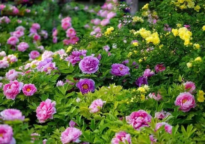 ����һ���ֵ10���ĵ������͵��