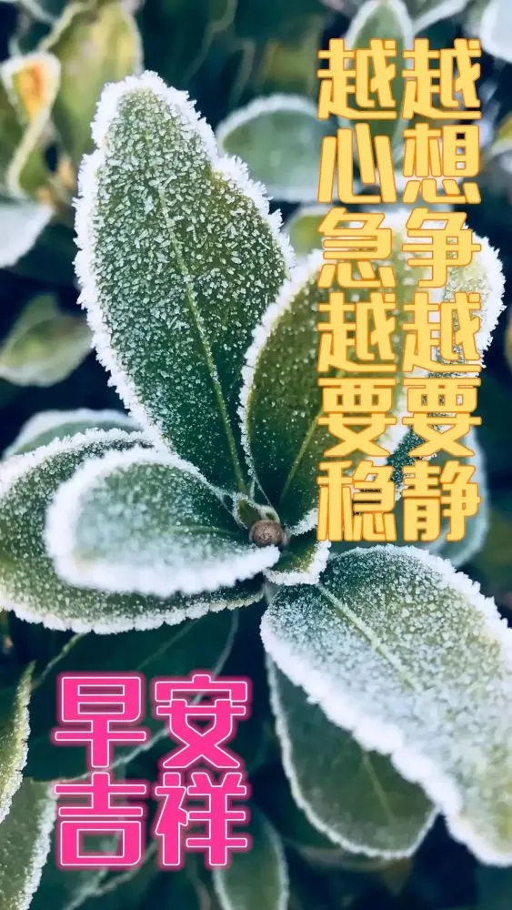 早晨问安：保持好心态，努力向前冲，道一句早安