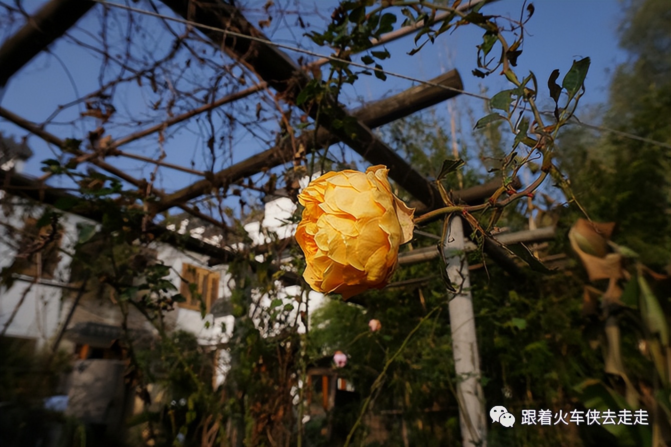 跟我去桦墅——冬日暖阳下的桦墅村（下）