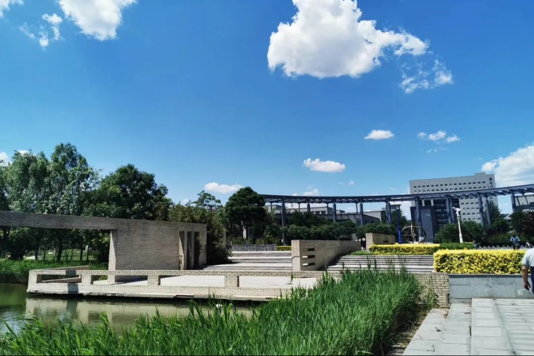 新增中国画专业！天津师范大学发布2022年艺术类招生专业及范围