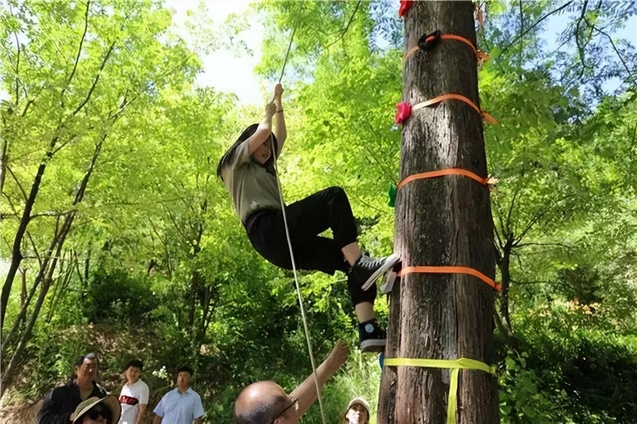 因麦积山而来 留植物园忘返！麦积山植物园带你体验丛林探险的乐趣