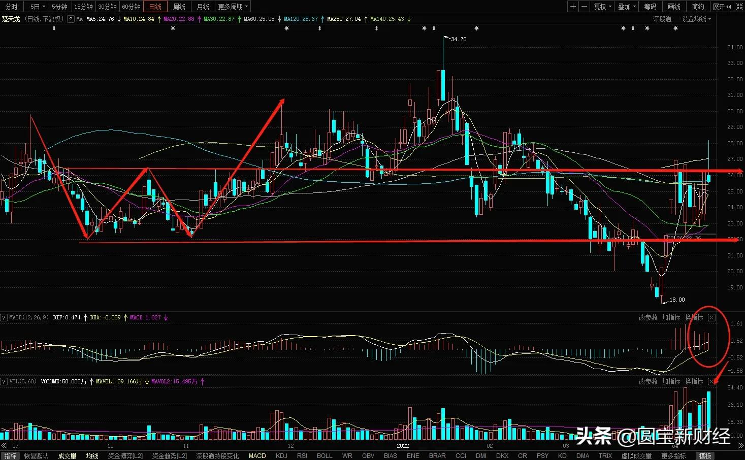 数据分析：统一大市场和数字货币，机会在哪里？