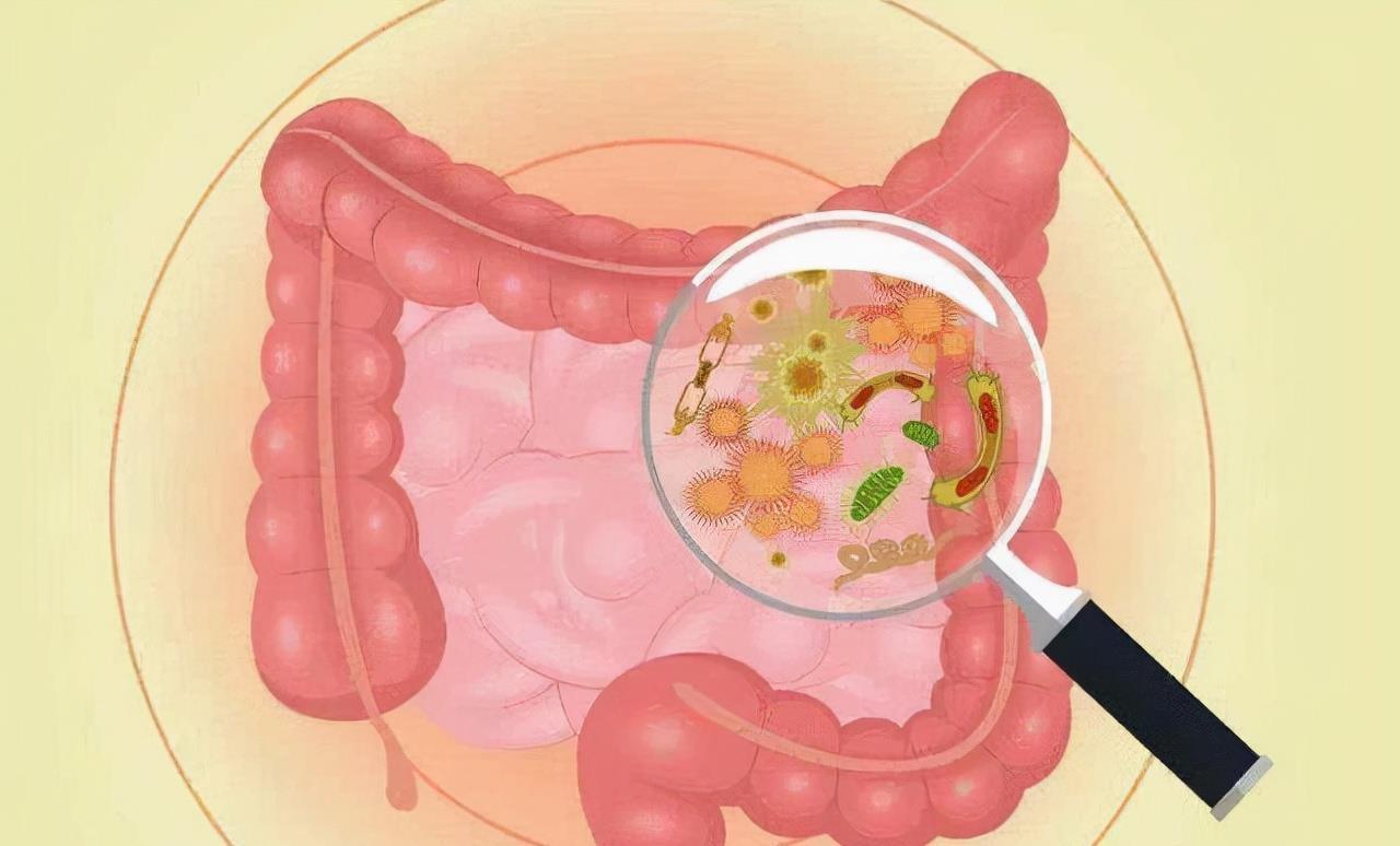 女人的屎可以吃吗(屎可以吃吗)_爱阅读