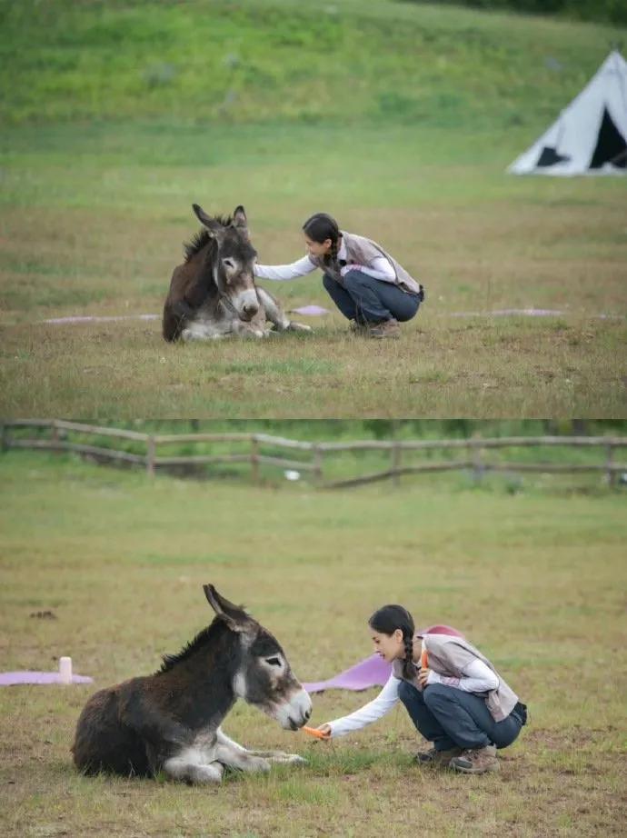 王子文与男友吴永恩平淡而惬意的田园生活！​​​
