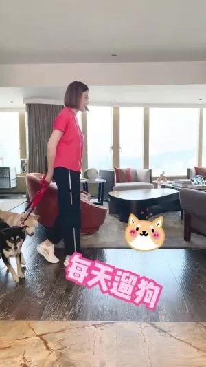 关之琳窝6亿宽敞豪宅遛狗贵妇生活被吐槽不够接地气