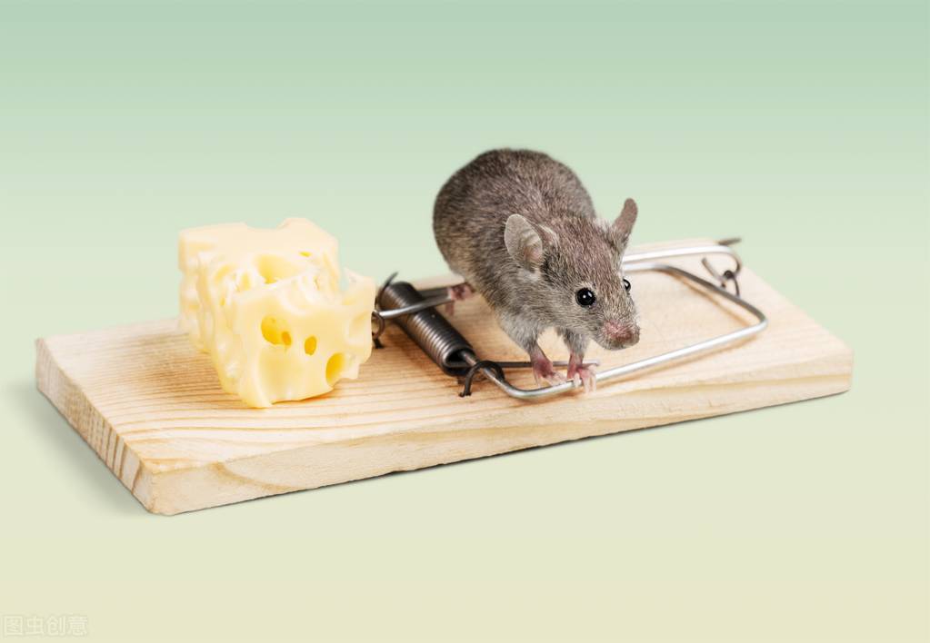 超声波驱鼠器真的有用吗？有什么捕鼠神器