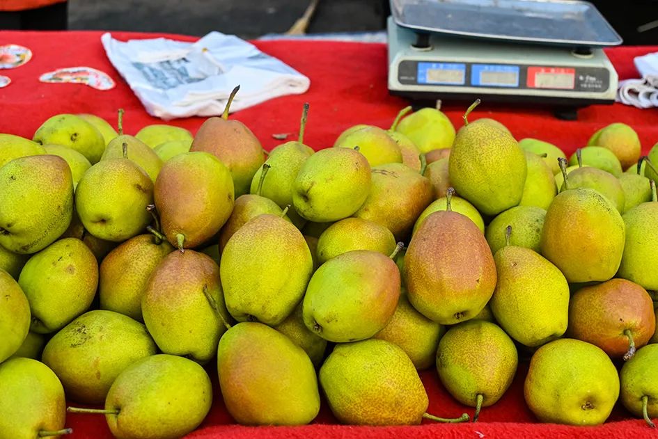 比较少见的酸梨这里也是有的像红肖梨,雪花梨,砀山酥梨还有各种梨,也