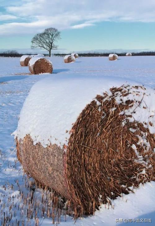 最美古诗词｜时光惊雪，雪落成诗，美到骨子里