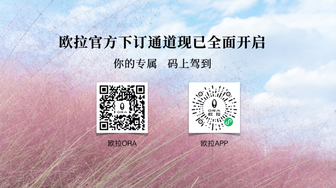 拒绝大众化，欧拉芭蕾猫上市