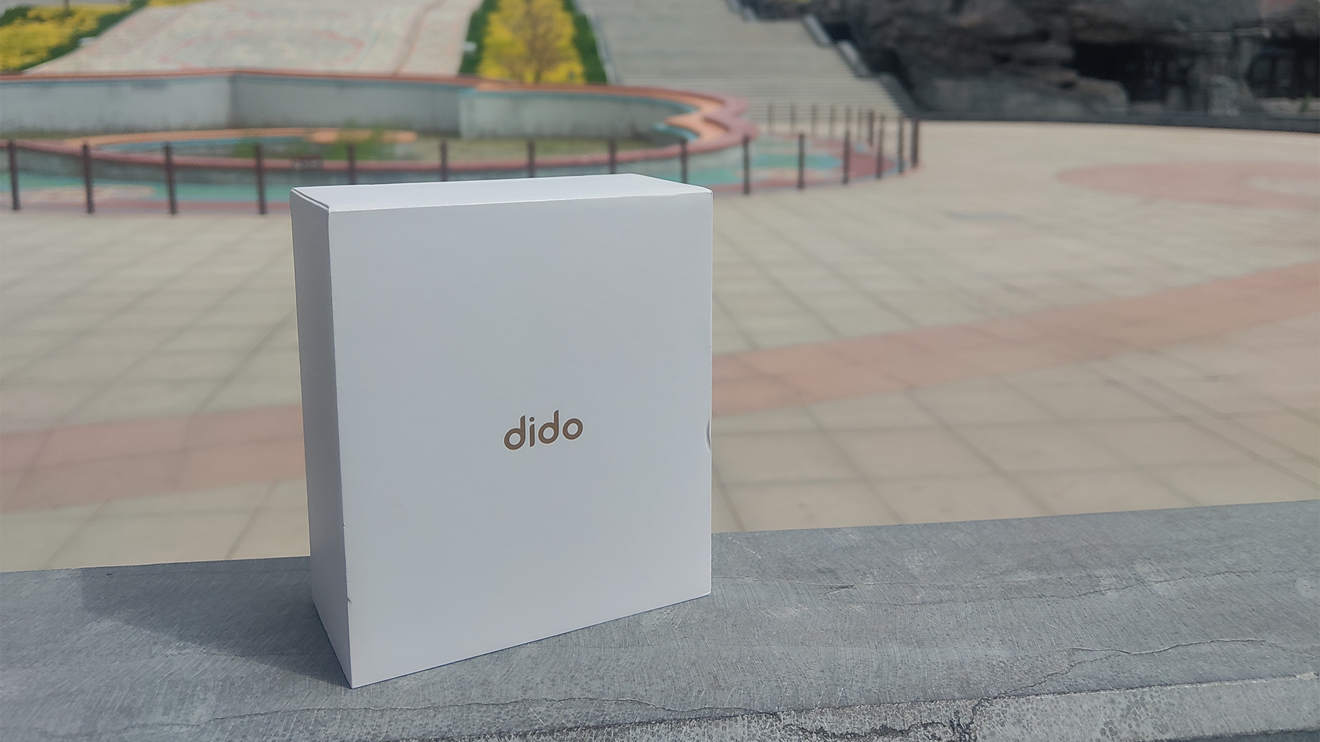 Dido Y1-一款可以智能心电图疾病筛查的智能手环