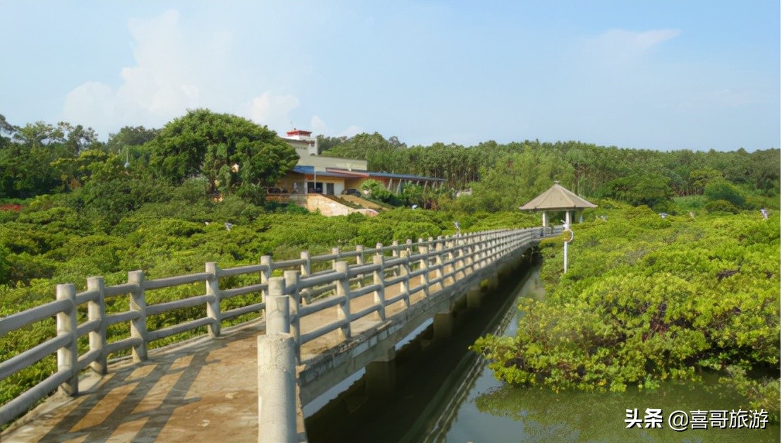 广西北海市合浦县十大景区有哪些？自驾游如何安排行程？