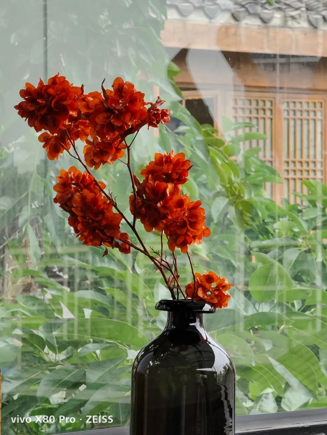 ?vivo X80 Pro测评：全系“升杯”，享受旗舰影像体验