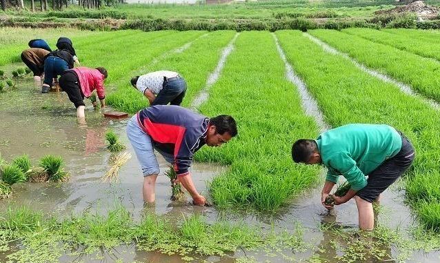 04年山东一大爷撞名支付宝，起诉阿里巴巴索赔百万，红遍全中国