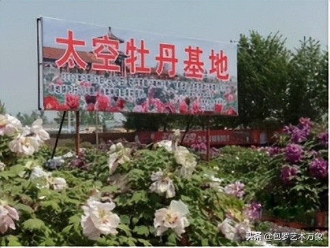 中俄国际文化艺术形象大使蔡云启作品展