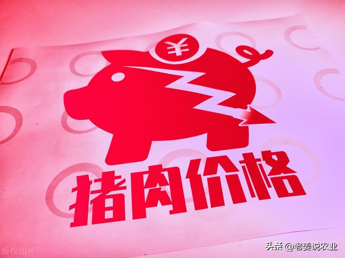 忻州今日猪价最新行情「今日忻州高速最新情况」