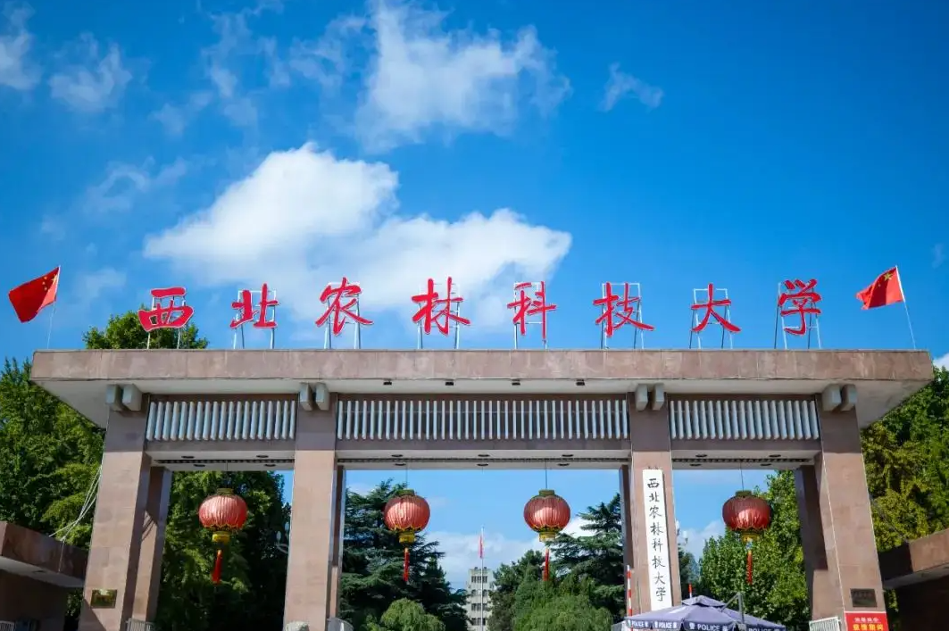 2022国内大学总分排行榜出炉，清华远超北大，浙大表现亮眼