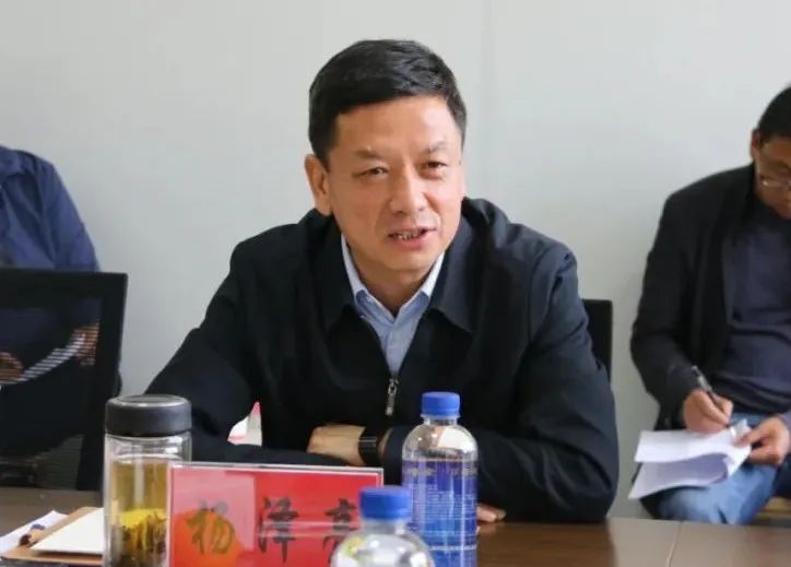 “农民院士”朱有勇在大理打造“烟+青贮玉米”套种示范基地
