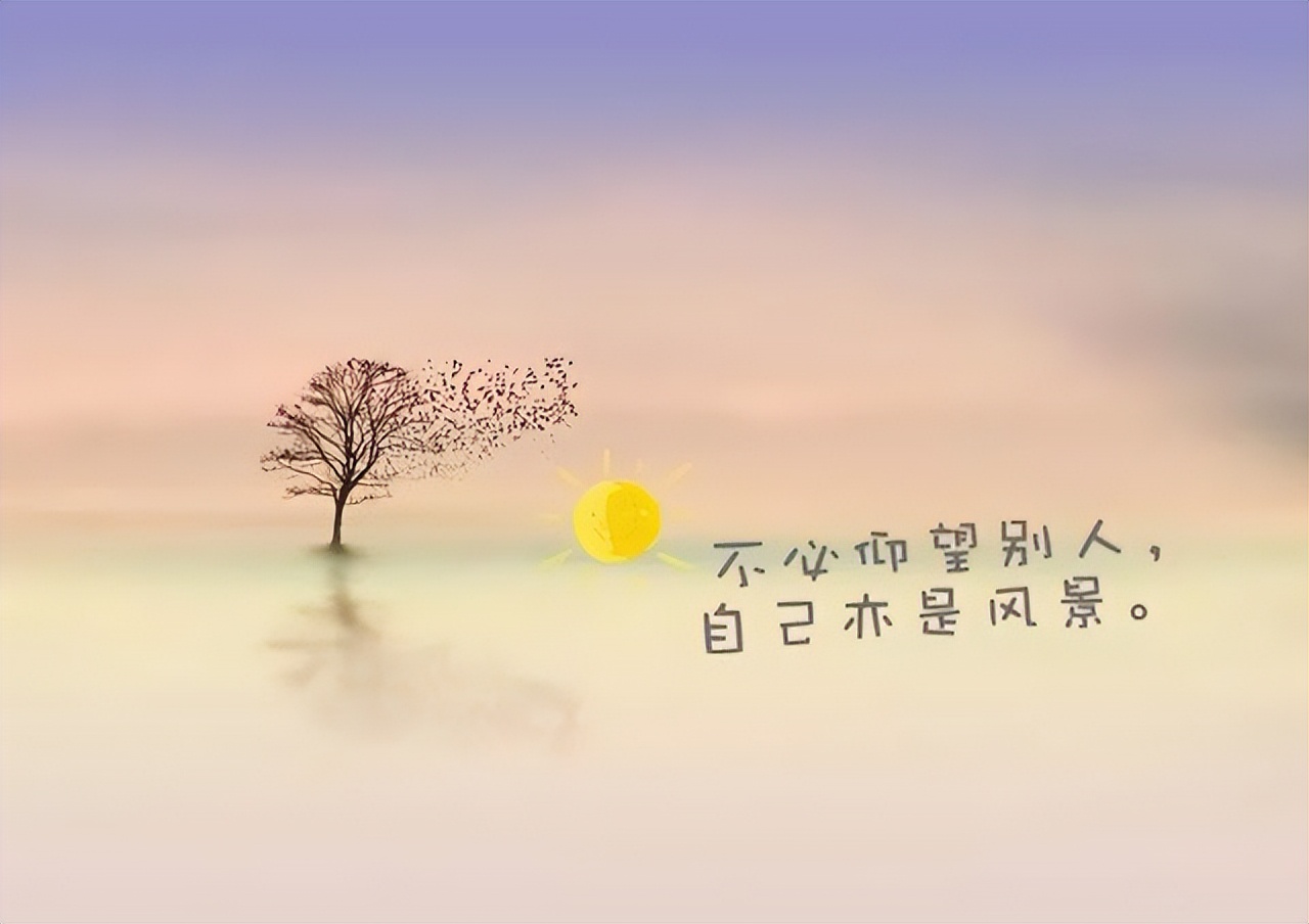 暖心友情句子：致最珍贵的朋友，愿我们的友谊如阳光般温暖，陪伴彼此走过人生的每一个美好时光。