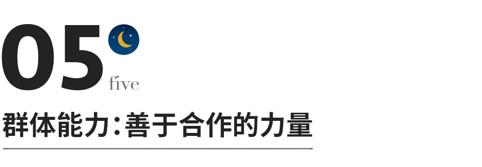 教育的真谛，在于培养孩子的四个能力