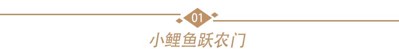 从酒店的工作人员到顶流的大小姐，赵丽颖是如何反攻的呢。