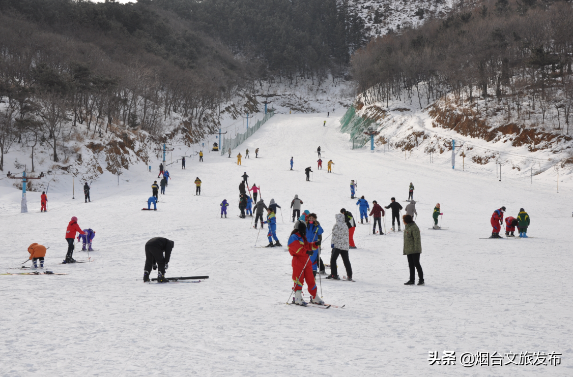 海阳林山滑雪场（“雪意冬情”烟台冬季特色文旅线路产品-迎大雪，滑雪泡汤之旅）