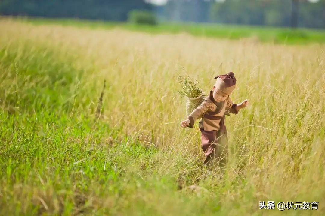 中小学开设“农耕知识+体验课”，纳入素质教育可比肩中考体育