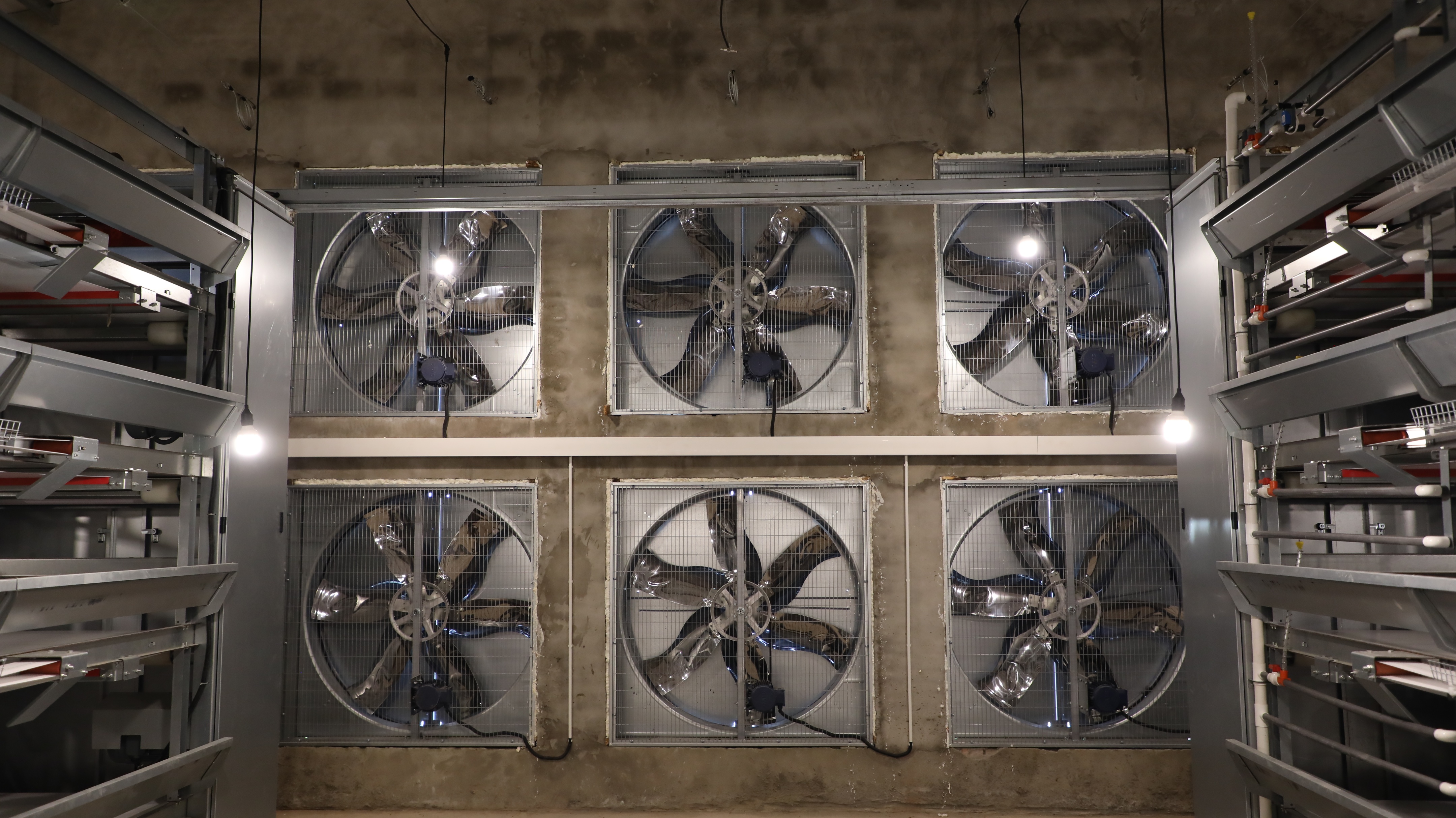 4,创造遮阴减温条件:在鸡棚窗上搭遮阳棚或悬挂半透光黑帘.