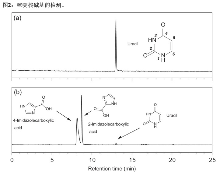 ���Ƕ������Ǻ����70������ʯ����DNA�ɷ֣���������������̫��