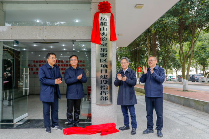 从马坡岭看湖南人端牢“中国饭碗”的底气