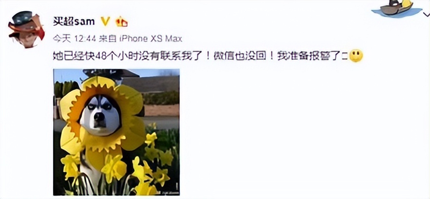 他究竟有何背景（張嘉倪：嫁入豪門當闊太，被頂級富二代稱嫂子，老公到底有何背景）
