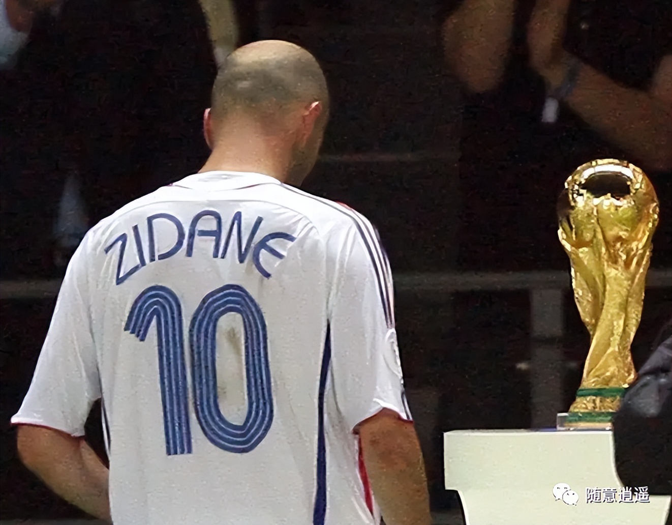 为什么南非世界杯有苍蝇叫（人生，不过几届世界杯）