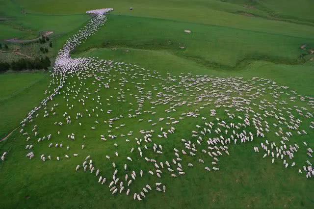 蒙古国“现状”，海军夏天运羊毛，冬天捕鱼，还有25个探秘冷知识