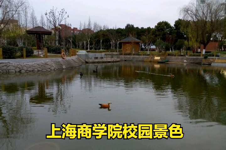 北京上海公办本科院校美术类最低录取线！上海商学院PK北京农学院