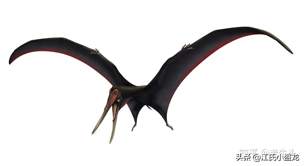2021古生物学家到底命名了多少种翼龙?