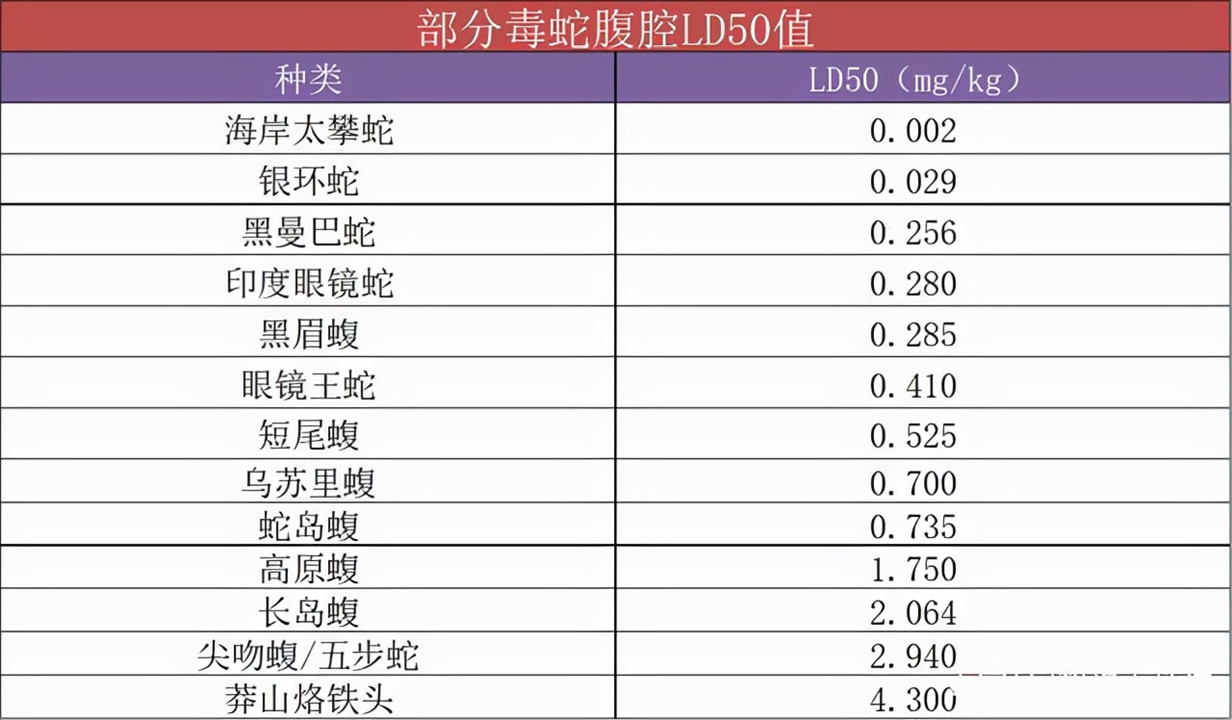 小青龙多少钱(我国独有的小青龙) - 价格百科