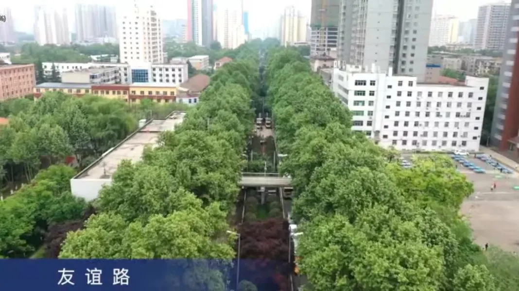 ���ۺ��� ��ϸ�������������ǹֲܾ����Ż��˾ӻ���