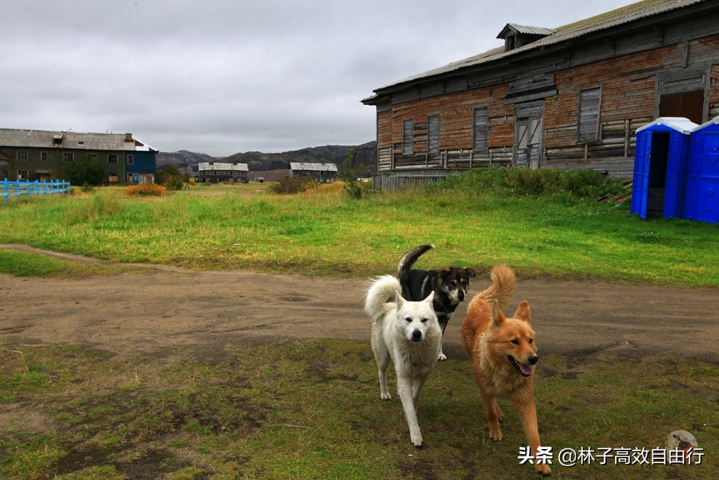 一个在俄罗斯追光成功的游客告诉你：除去运气，追极光其实并不难